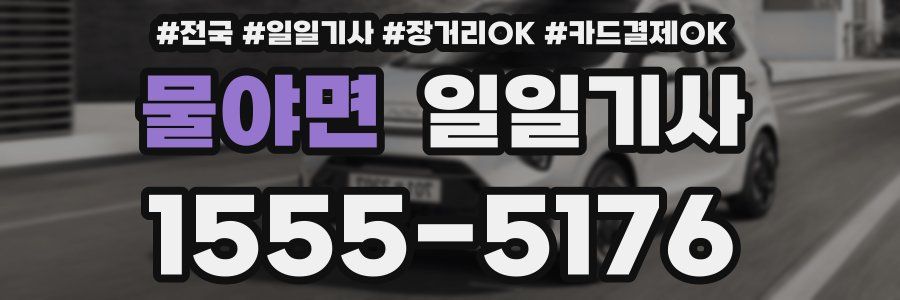 물야면 일일기사