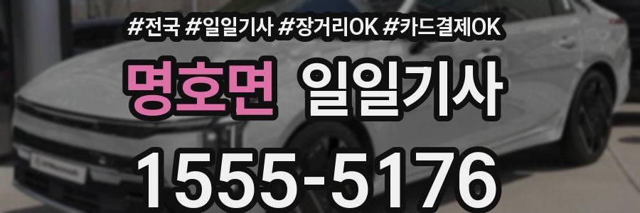 명호면 일일기사