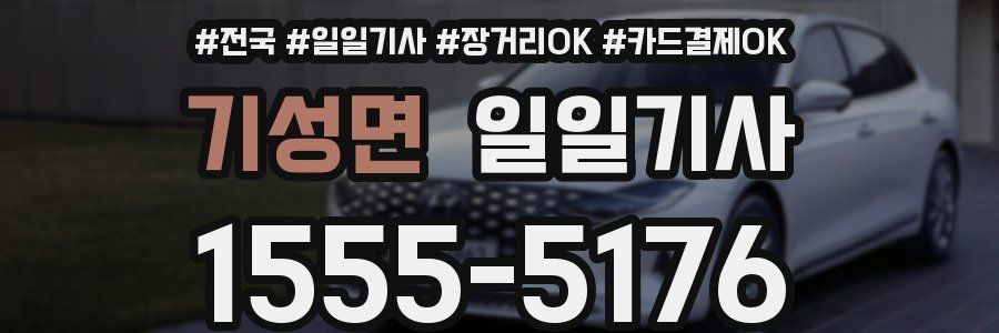 기성면 일일기사