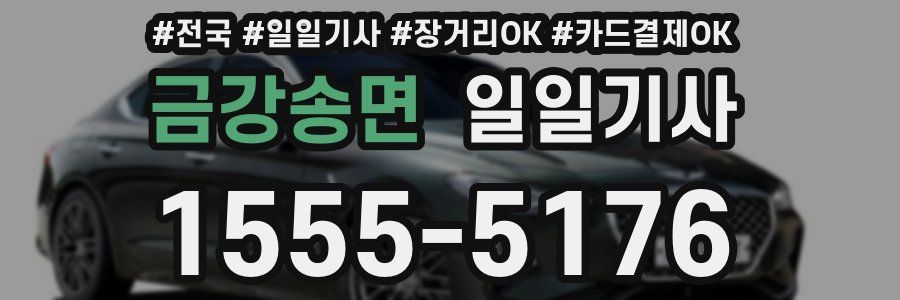 금강송면 일일기사