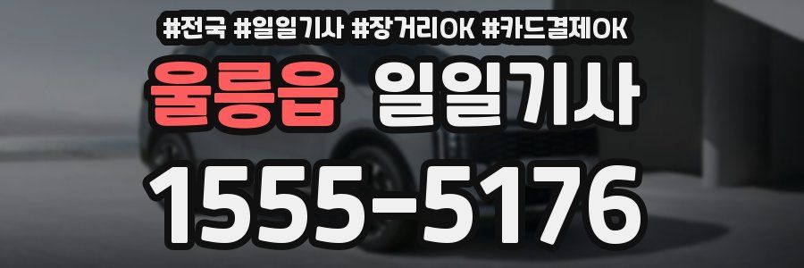 울릉읍 일일기사