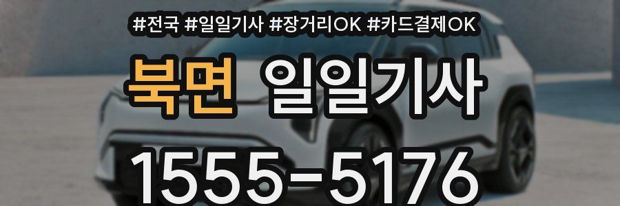 북면 일일기사