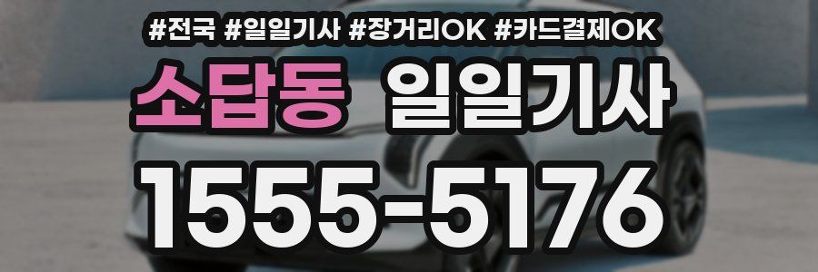 소답동 일일기사