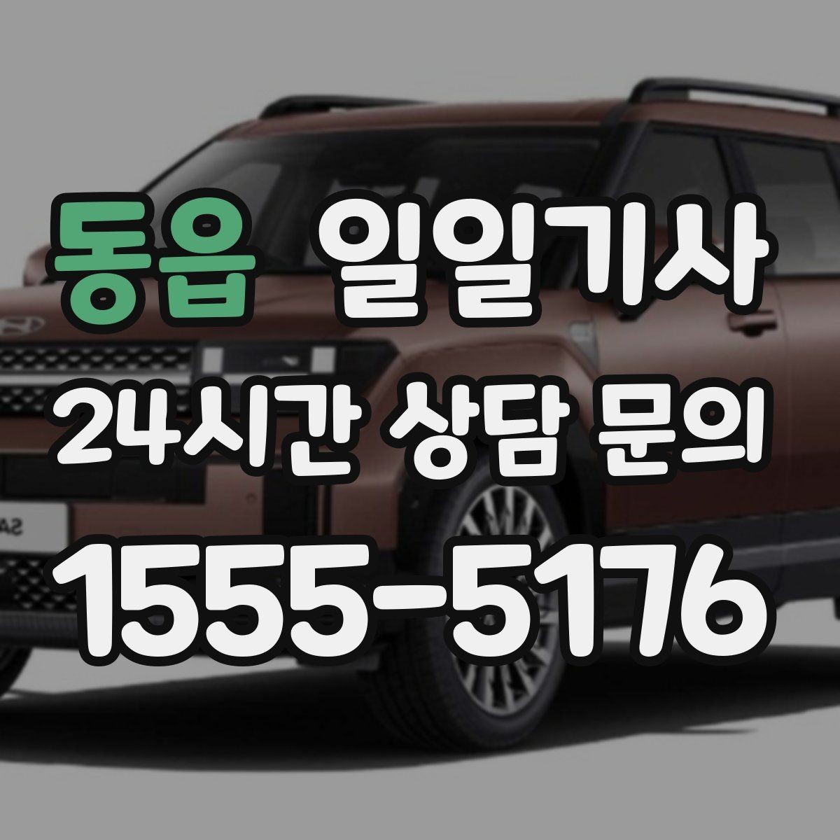 동읍 일일기사 종일 일정 전담 동행