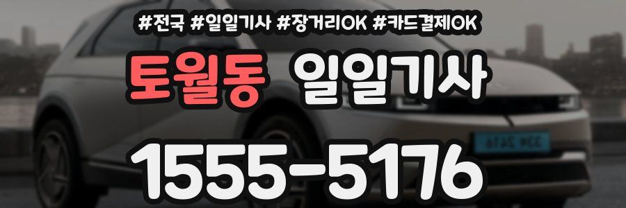 토월동 일일기사