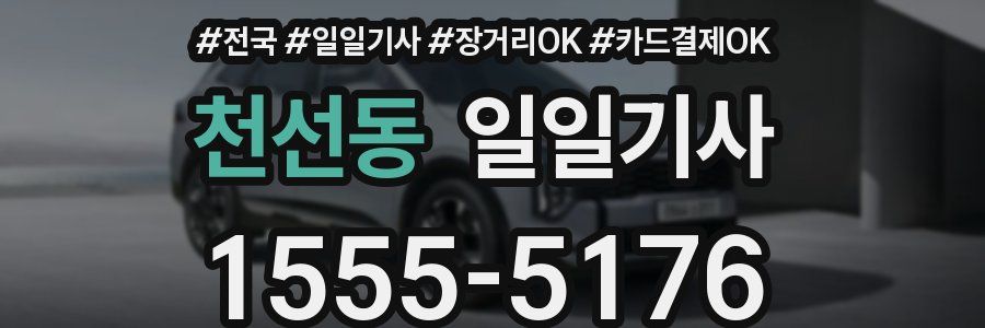천선동 일일기사
