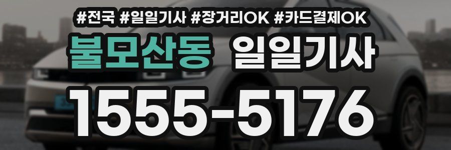 불모산동 일일기사