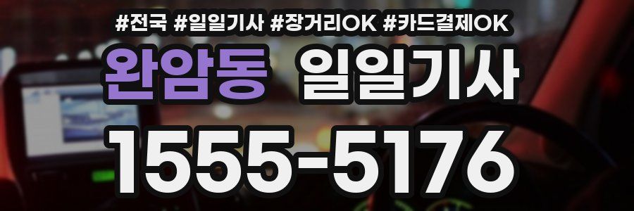 완암동 일일기사