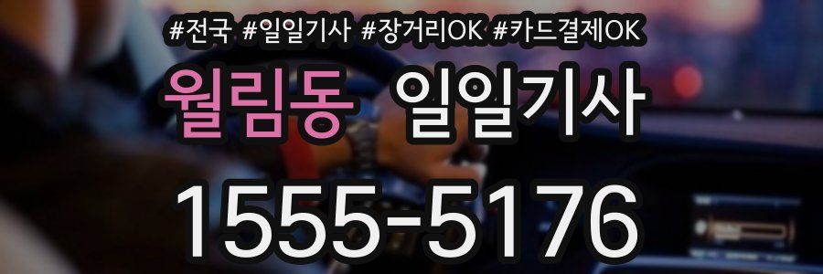 월림동 일일기사