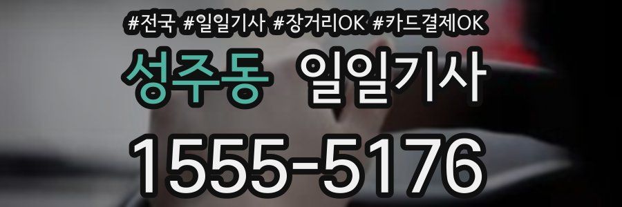 성주동 일일기사