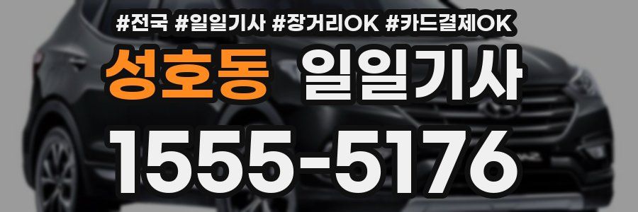 성호동 일일기사