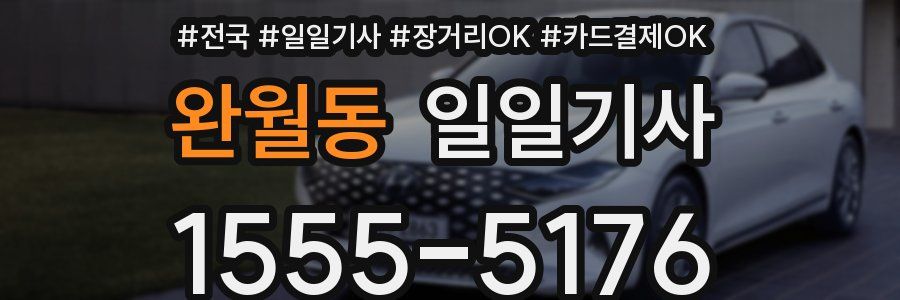 완월동 일일기사