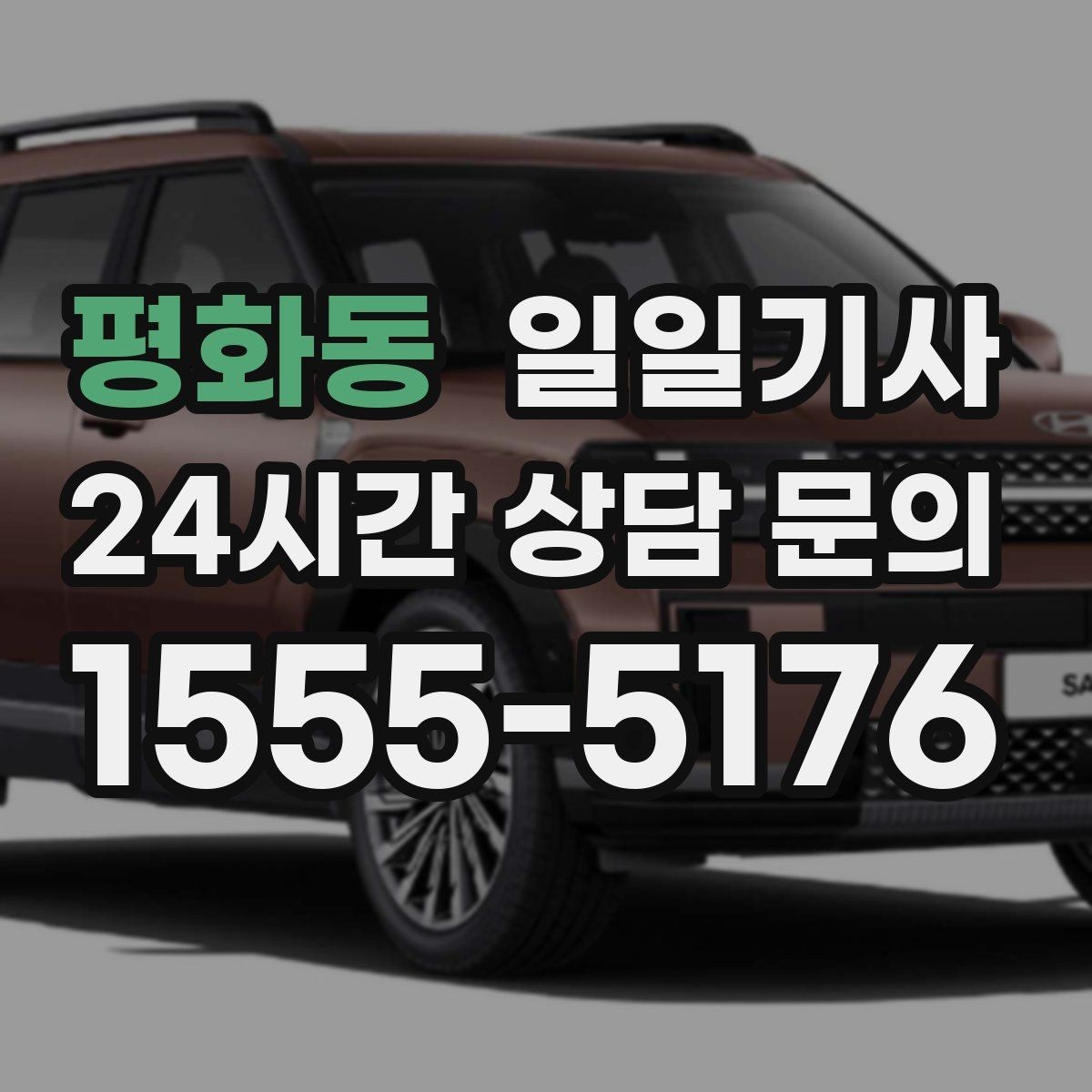 평화동 일일기사 수하물 케어 공항 동행