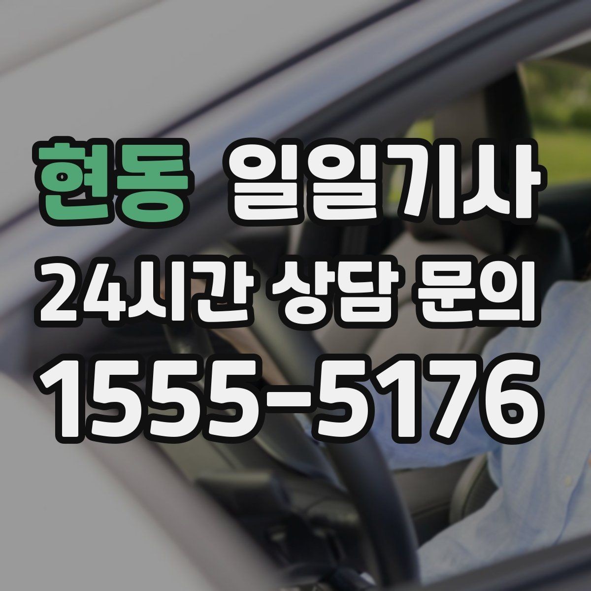 현동 일일기사 조용한 주행 안정감 제공