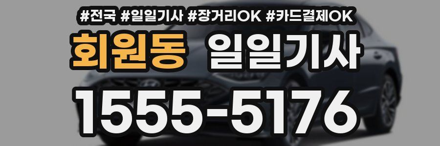 회원동 일일기사