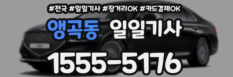 앵곡동 일일기사
