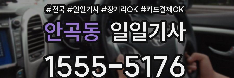 안곡동 일일기사