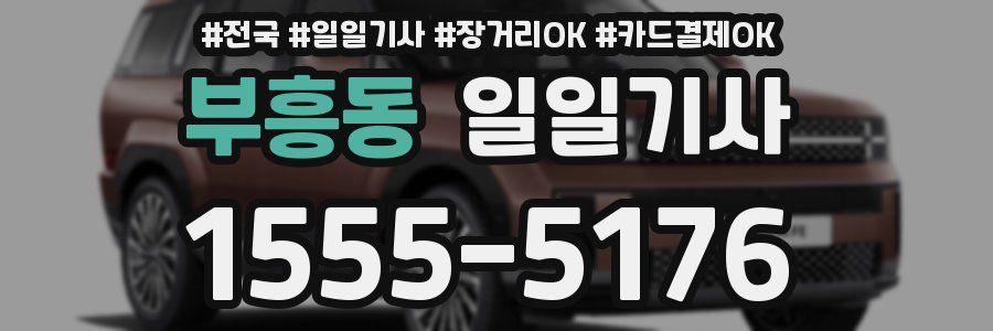 부흥동 일일기사