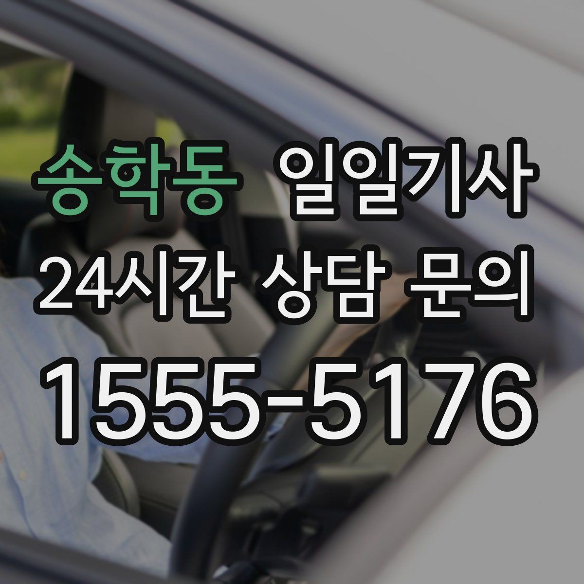 송학동 일일기사 종일 일정 전담 동행