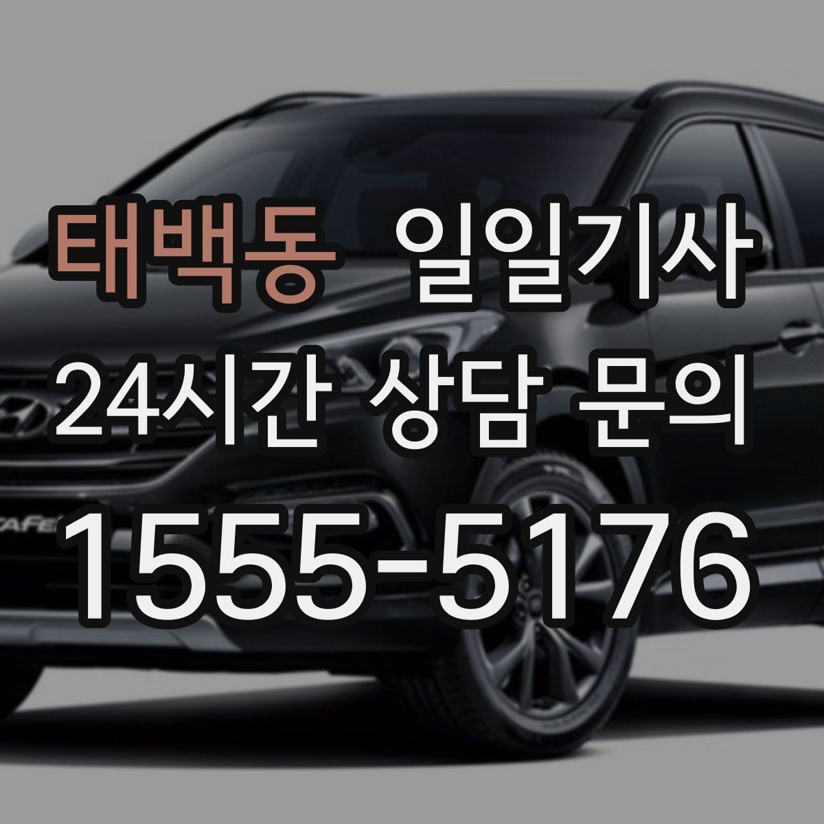 태백동 일일기사 여러 약속을 하나로 엮는 동선