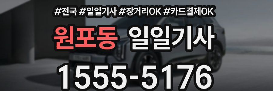 원포동 일일기사