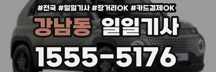 강남동 일일기사