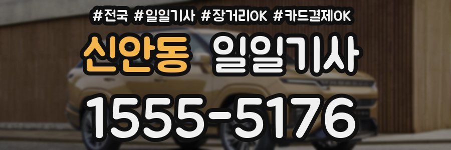 신안동 일일기사