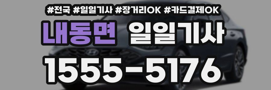 내동면 일일기사