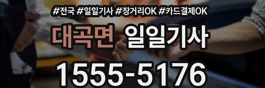 대곡면 일일기사