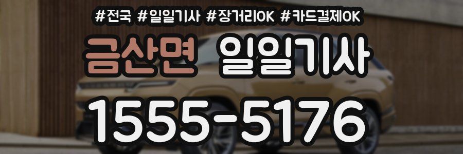 금산면 일일기사