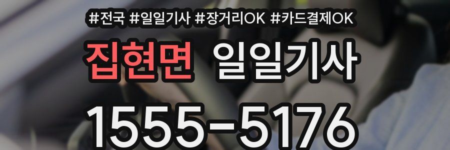 집현면 일일기사