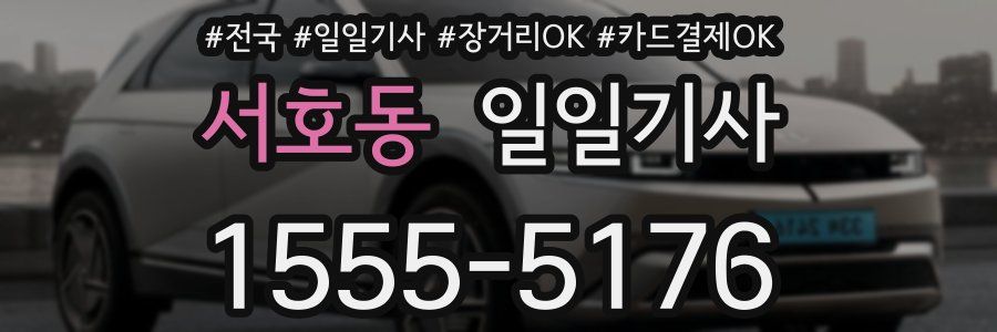 서호동 일일기사