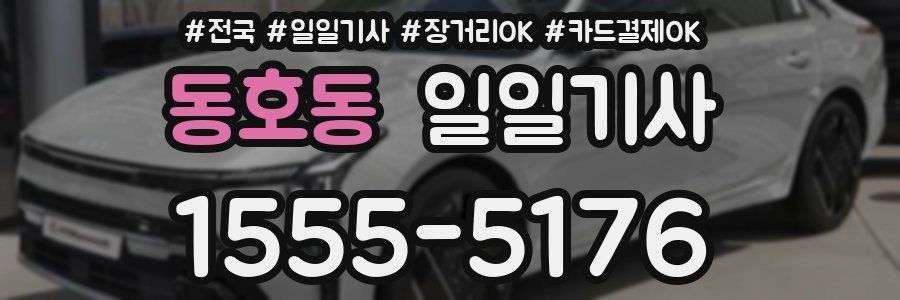 동호동 일일기사