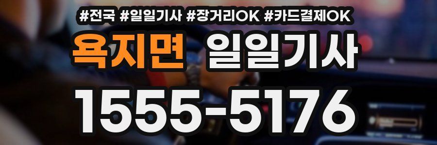욕지면 일일기사