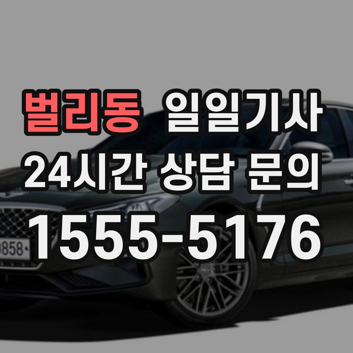 벌리동 일일기사 장기 예약 주간 일정 맞춤