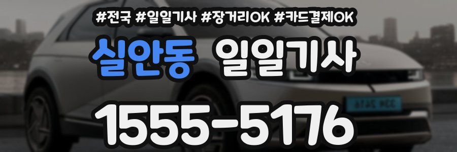 실안동 일일기사