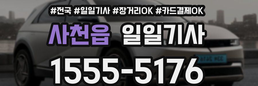 사천읍 일일기사