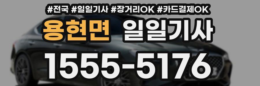 용현면 일일기사