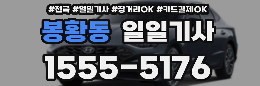 봉황동 일일기사