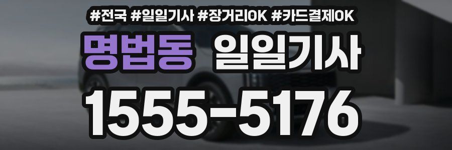 명법동 일일기사