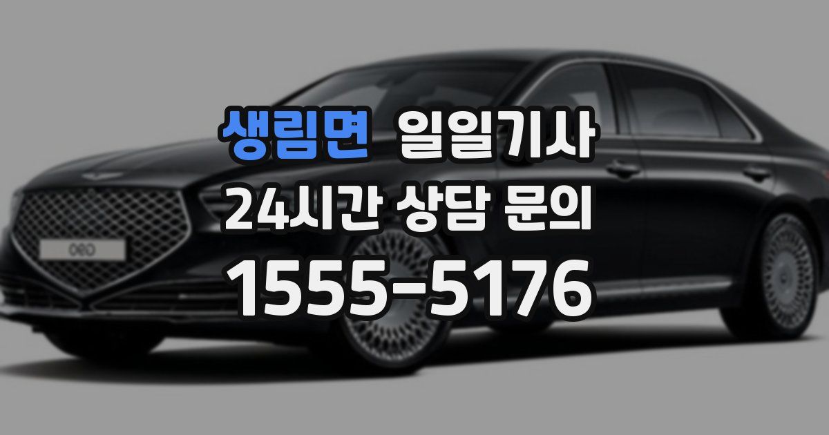 일일대리기사