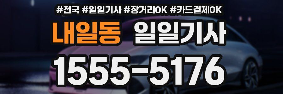 내일동 일일기사