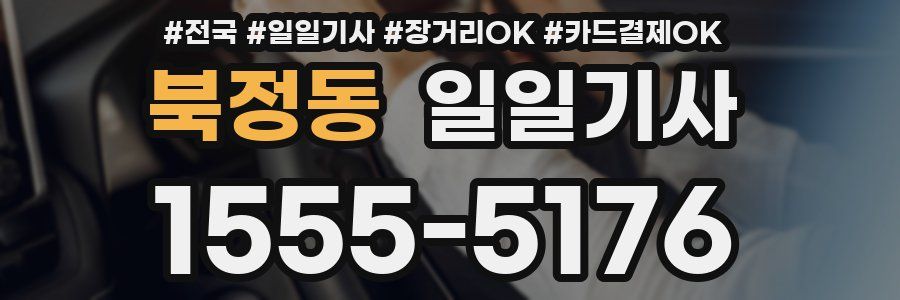 북정동 일일기사