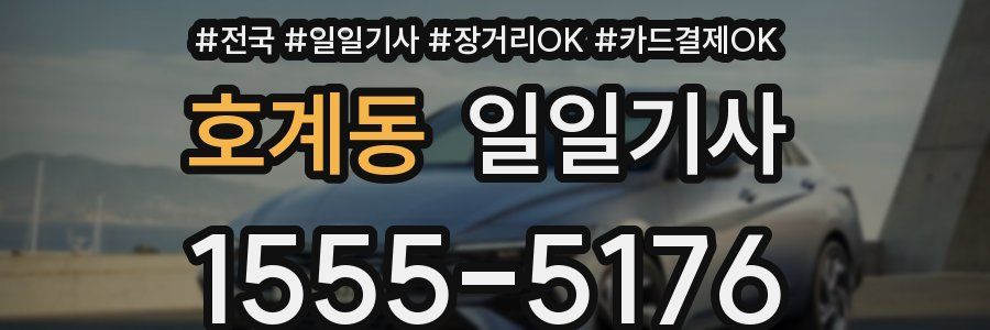 호계동 일일기사