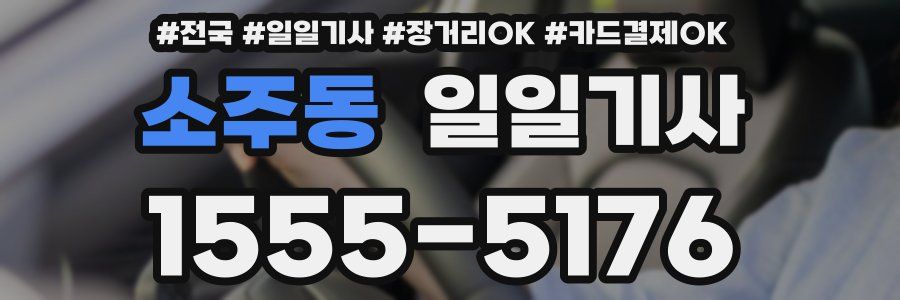 소주동 일일기사