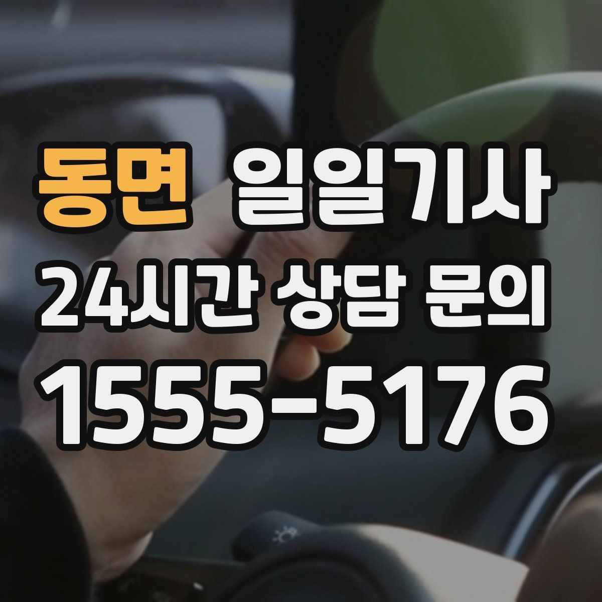 동면 일일기사 같은 기사 재배정 선택