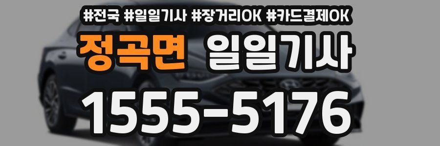 정곡면 일일기사