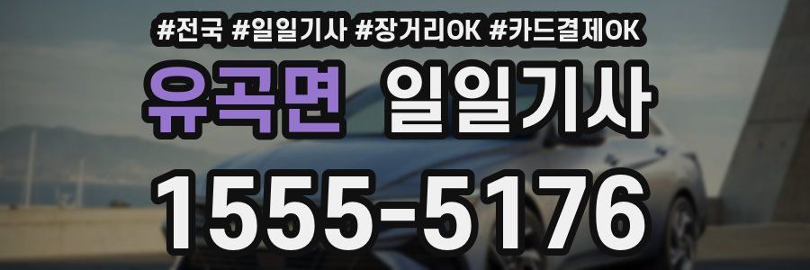 유곡면 일일기사