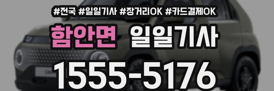 함안면 일일기사