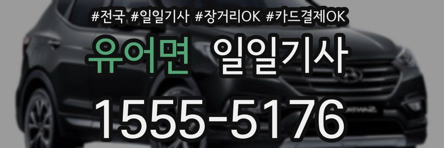 유어면 일일기사